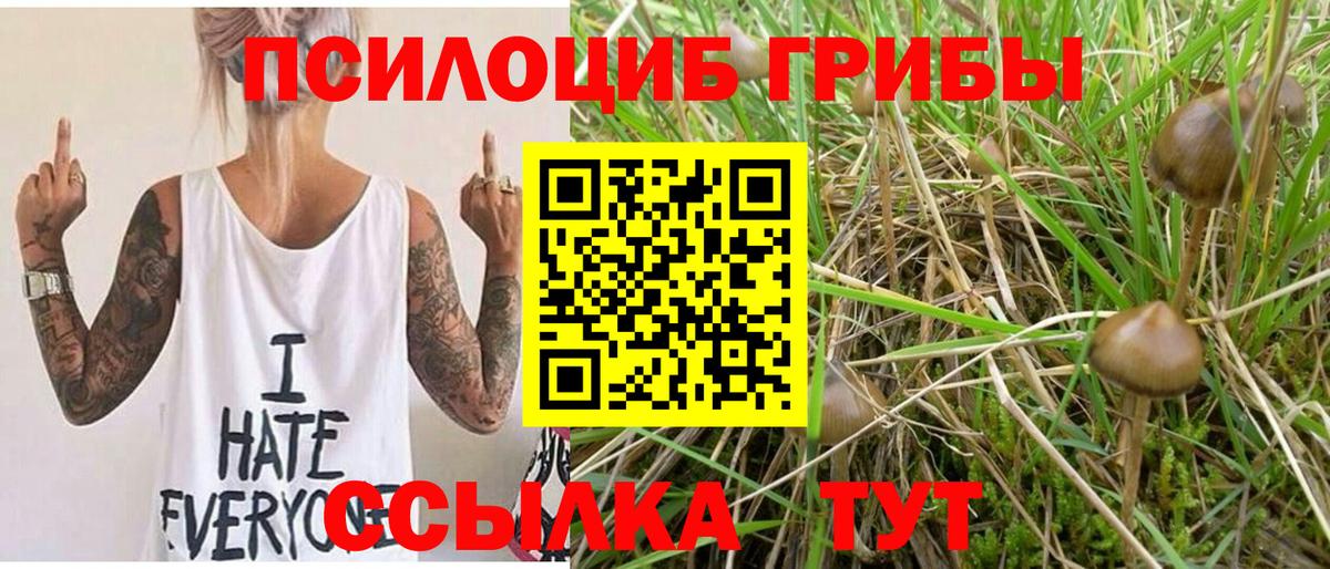 Псилоцибиновые грибы мицелий Десногорск